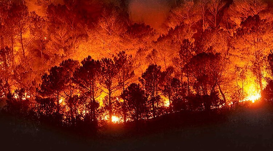 Incendios forestales son atendidos en Oaxaca; Sedena informa situación de seguridad en la entidad